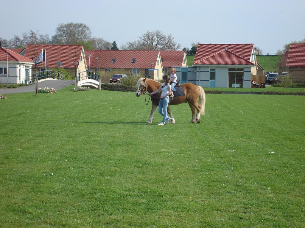 Ijsselhof Villa Type Medemblik 6 安迪克 外观 照片
