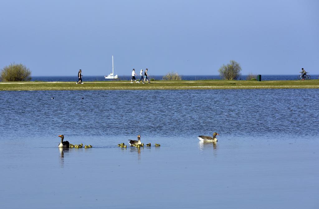 Ijsselhof Villa Type Medemblik 6 安迪克 外观 照片